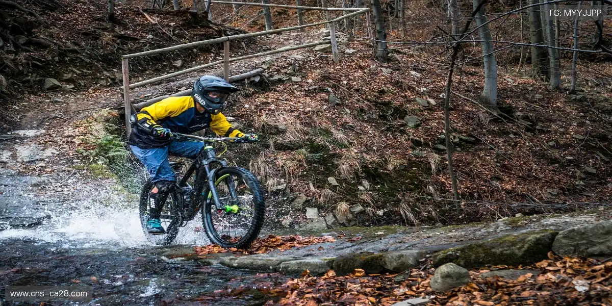 🏟️赛场主题夜点亮城市,一起沉浸狂欢!✨